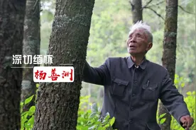 杨善洲逝世13周年：家乡人民深切缅怀“草鞋书记”图片