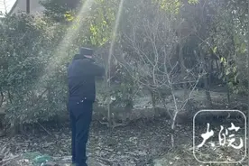 疯牛失控横冲直撞，霍邱警方果断两枪将其击毙图片
