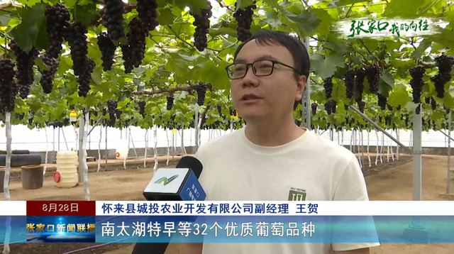 聚焦第九届河北省旅游产业发展大会张家口分会场|提前探营（二）——怀来县