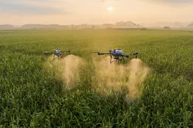 大疆再添两款农业无人机，服务从山林拓展到农林牧渔图片