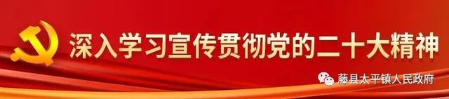 【千年乞巧韵 共赴太平约】2025年太平镇乞巧节文化盛会即将璀璨启幕,等你来约!