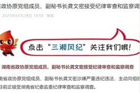 湖南省政协原党组成员、副秘书长龚文密被查！图片