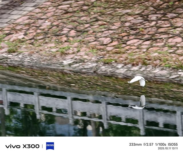 完美小屏影像旗舰！vivo X300手机评测：随手一拍就有德味 高阶技巧信手拈来