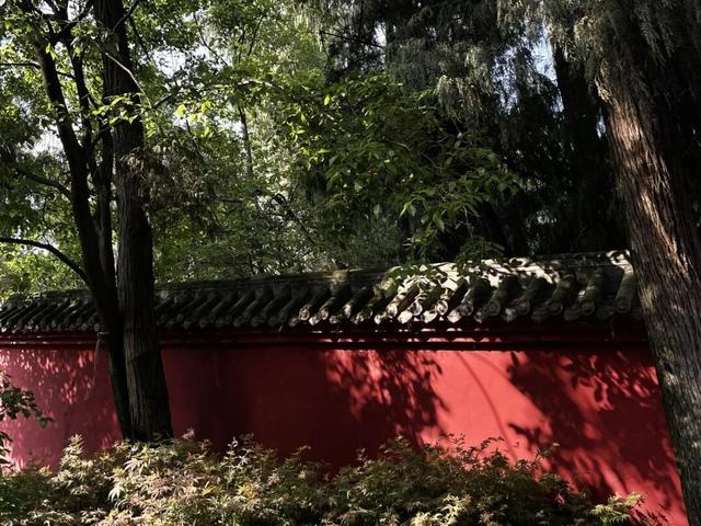 石经寺旁一日游，充电满格