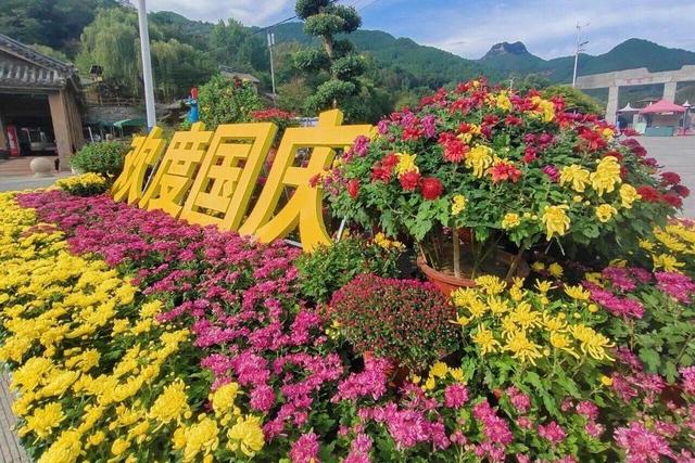 各项数据全“开花”，双节期间潍坊青州文旅迎来“大丰收”