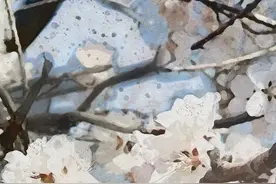 春日花语 | 桃花浪漫  东营如诗图片
