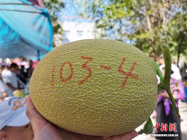 “中国甜瓜之乡”103团第十一届甜瓜文化旅游季举办