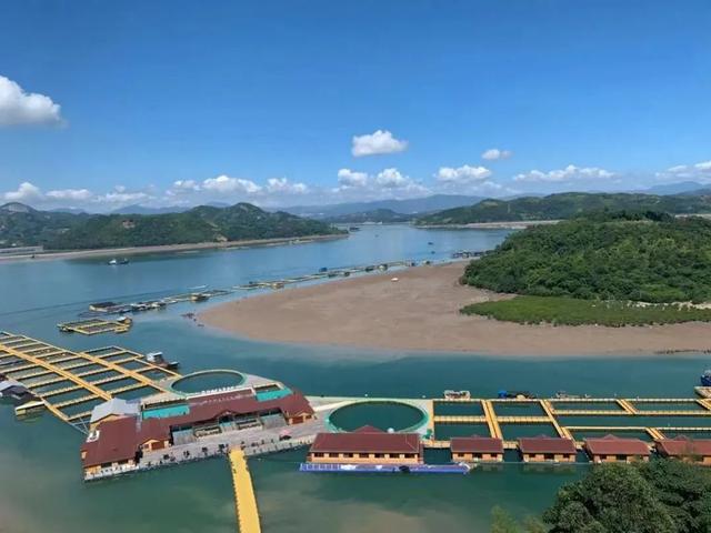 遛娃、钓鱼、吃海鲜……福鼎这些地方适合“全家总动员”