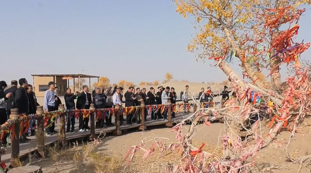 胡杨节启幕 麦盖提县N39°沙漠旅游景区绽放独特魅力