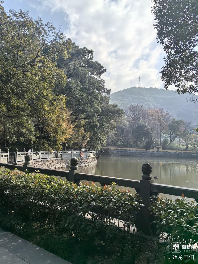 晚潮｜冬日暖阳育王寺