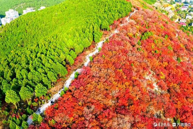 济南蝎子山，深秋 “鸳鸯火锅”景如画