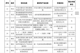 42个！新一批山东省新材料创新应用示范项目公布图片