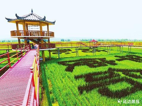 延边州推出5条铸牢中华民族共同体意识主题体验线路