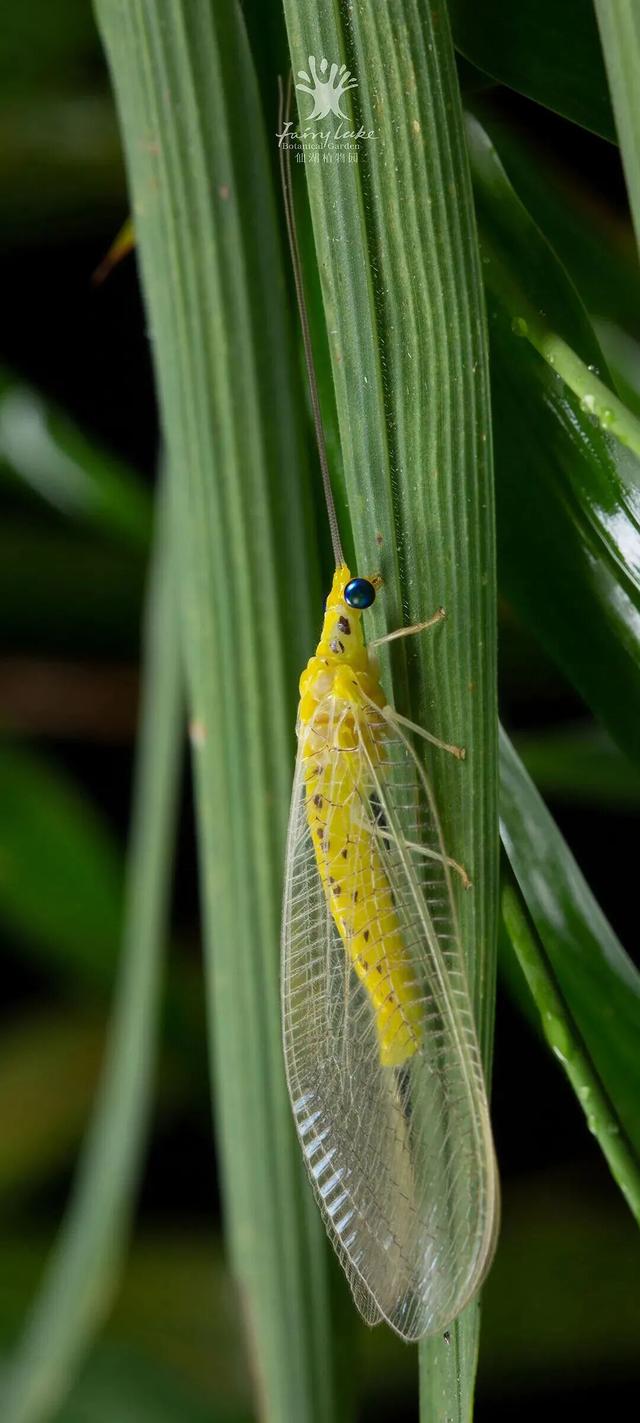 欢迎来到疯狂动物城·罗湖分城