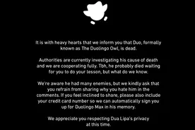 多邻国宣告其猫头鹰“死亡”，但这很可能是又一次营销活动图片