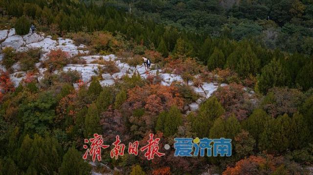 一年四季 泉在济南丨济南腊山生态秘境，邂逅自然之美