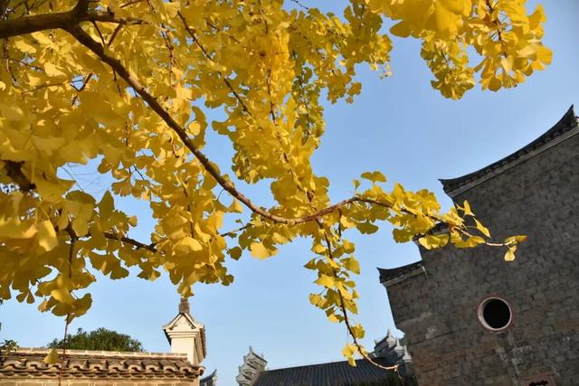 来赣州这里，秋韵正浓、暖意正好→