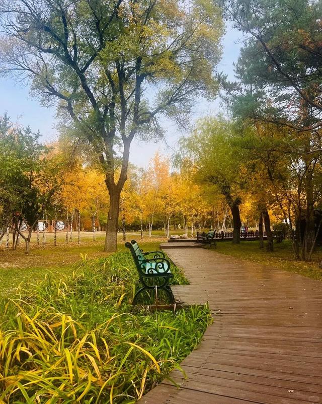 这样的延吉秋日限定美景，你见过吗？