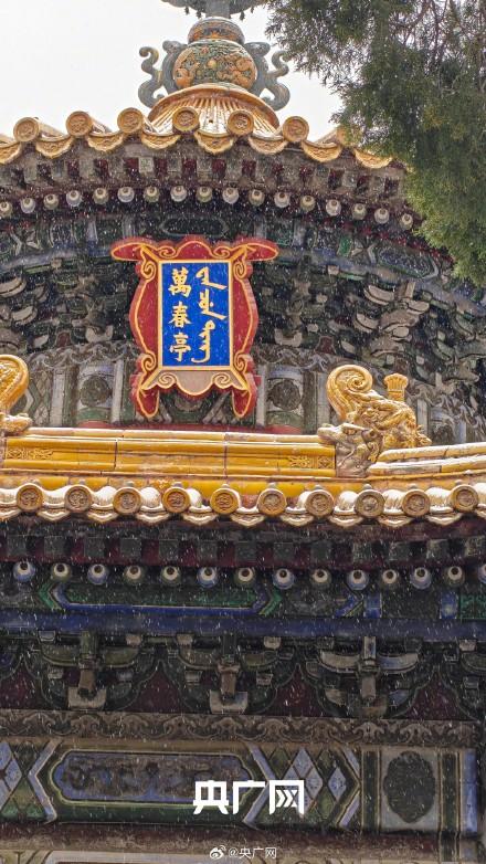 一下雪故宫就美成了紫禁城