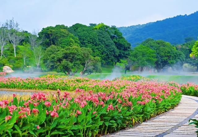 青秀山一日漫游｜山水清音，邂逅这抹南宁的青秀绿
