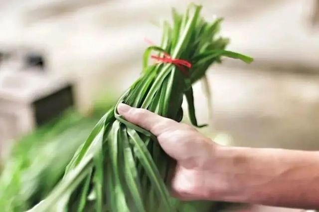 一起“森”呼吸！假期在福州开启绿野仙踪副本