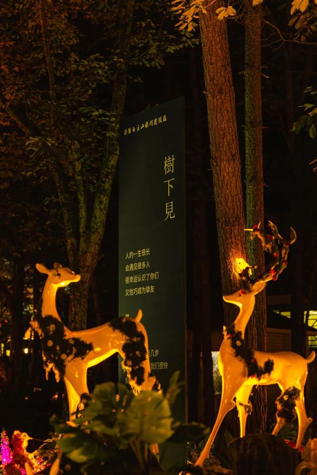 暑假余额告急！学生免门票游白云山，解锁夏日清凉狂欢模式～