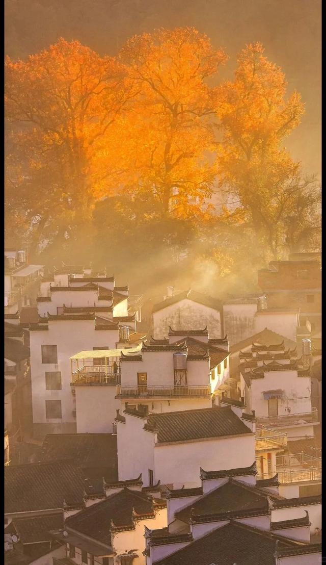 江西的那边是什么？你不用告诉我，我会在秋天自己去看