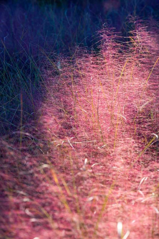 万里无云，阳光正好！周末到公园欣赏北京的秋