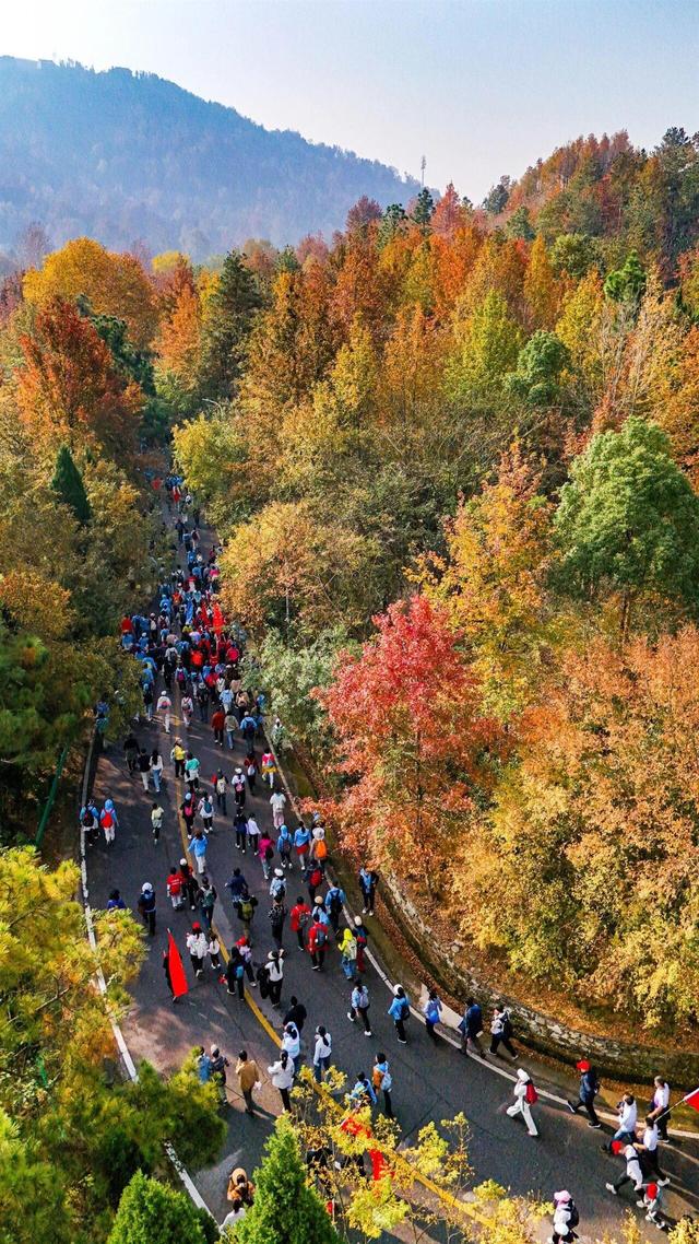 万人同行木兰山，全民健身秋意浓，登山活动“燃”动江城