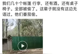 南阳迷笛音乐节失窃调查公布：网民发布不实信息，引发村民趁乱下手图片