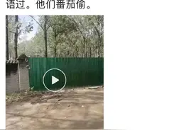 南阳迷笛音乐节失窃调查公布：网民发布不实信息，引发村民趁乱下手图片