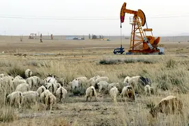 生态环境部：正酝酿石油天然气开采业固废污染控制新规图片