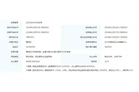 正地铁口！大泽湖再推新地块！图片