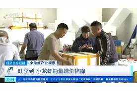 价格暴降近50%！你实现小龙虾自由了吗？图片