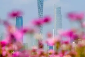 花粉浓度将达到高峰，小心那些伪装成感冒的过敏图片