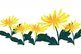 得了压力性尿失禁？这6个办法总有一个能帮你图片