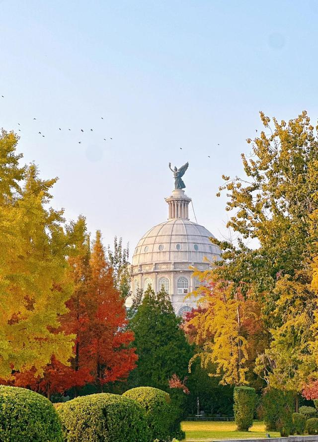 别再问周末去哪了！郑州这些宝藏公园不可错过→