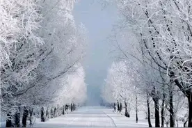 散文|细雨润心霏图片