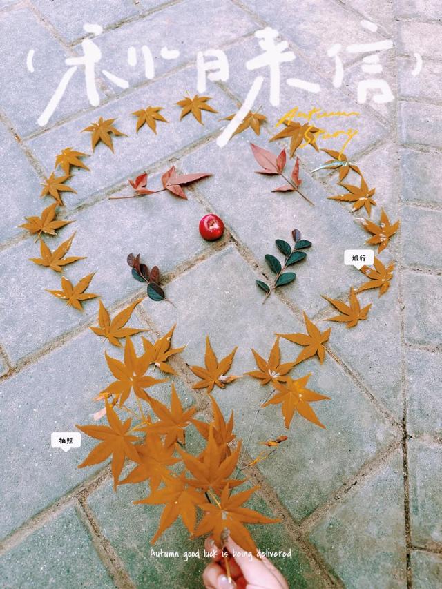 别宅啦！去江陵的街头“捡秋”吧