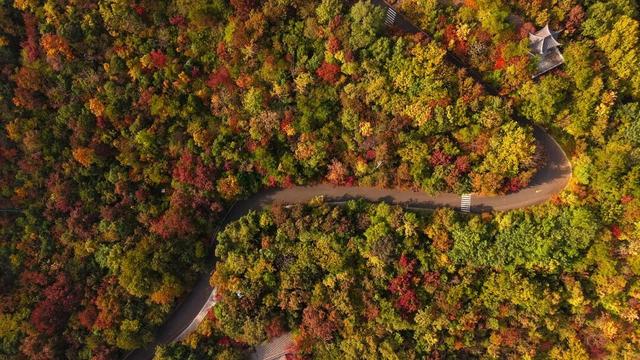 周末，去“捡秋”！