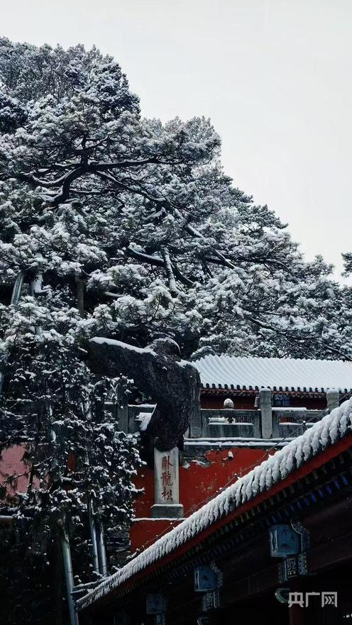 雪落古刹 潭柘寺戒台寺定格北京2026初雪风光