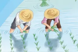 课本里的春耕场景“活”了图片