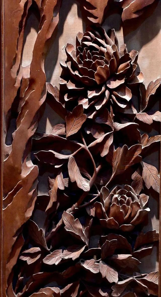 起猛了，我在洛阳被「牡丹」包围了！