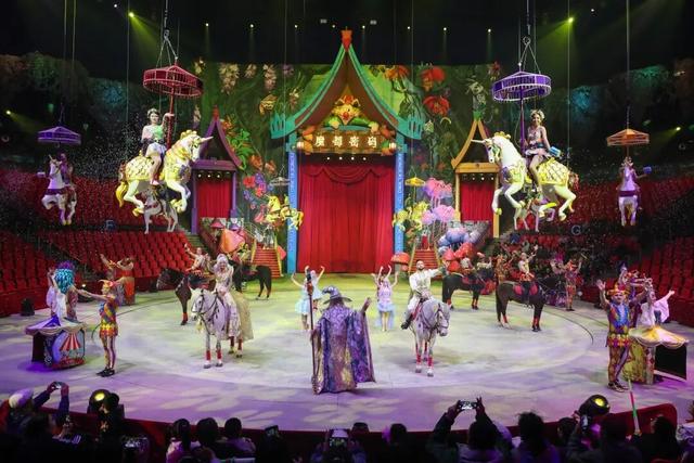 上野大熊猫百日庆邀你免费游园！