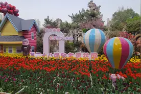 郑州人民公园第二十八届郁金香花展邀您共赴春日童话图片