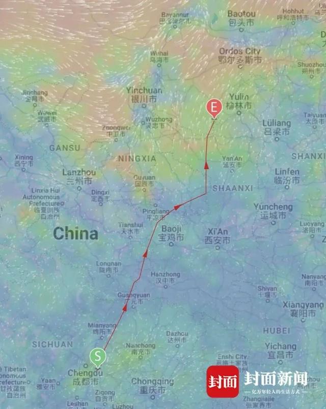 3年前受伤获救，游隼“阳阳”从俄罗斯再返蓉！揭秘100天追踪信号消失的日子……