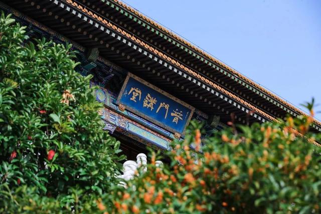 季节限定！浙江这些宝藏赏桂地与你“香”约~