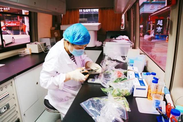 活力足、业态新、服务暖——修武文旅 “国庆中秋” 假期完美收官！