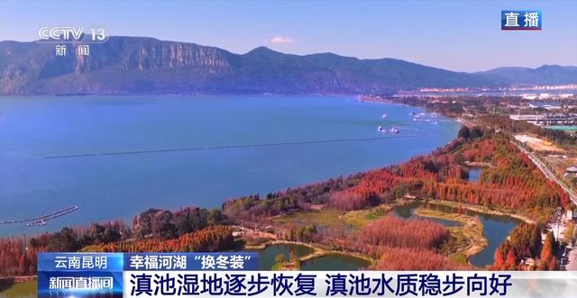 有一种生活叫云南 冬日滇池邀你来一场“观鸥游”