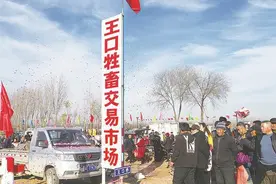 牲畜交易 有市有场图片